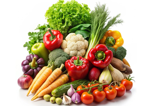 Top Organic Vegetable Exporters In alappey kerala india